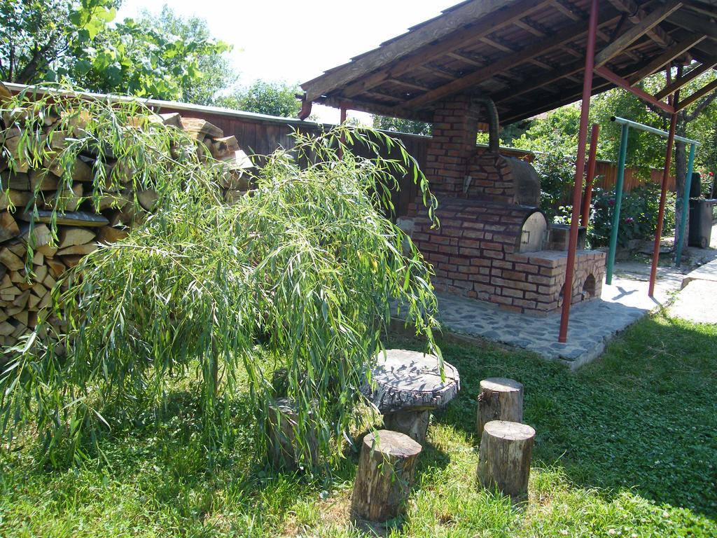 Pensiunea Casa Filoxenia 霍雷祖 外观 照片
