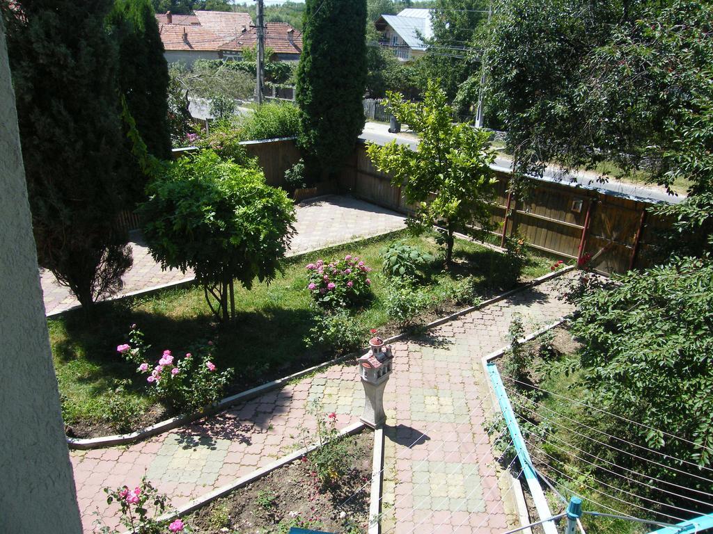 Pensiunea Casa Filoxenia 霍雷祖 外观 照片