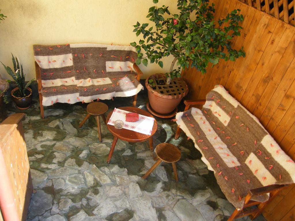 Pensiunea Casa Filoxenia 霍雷祖 外观 照片